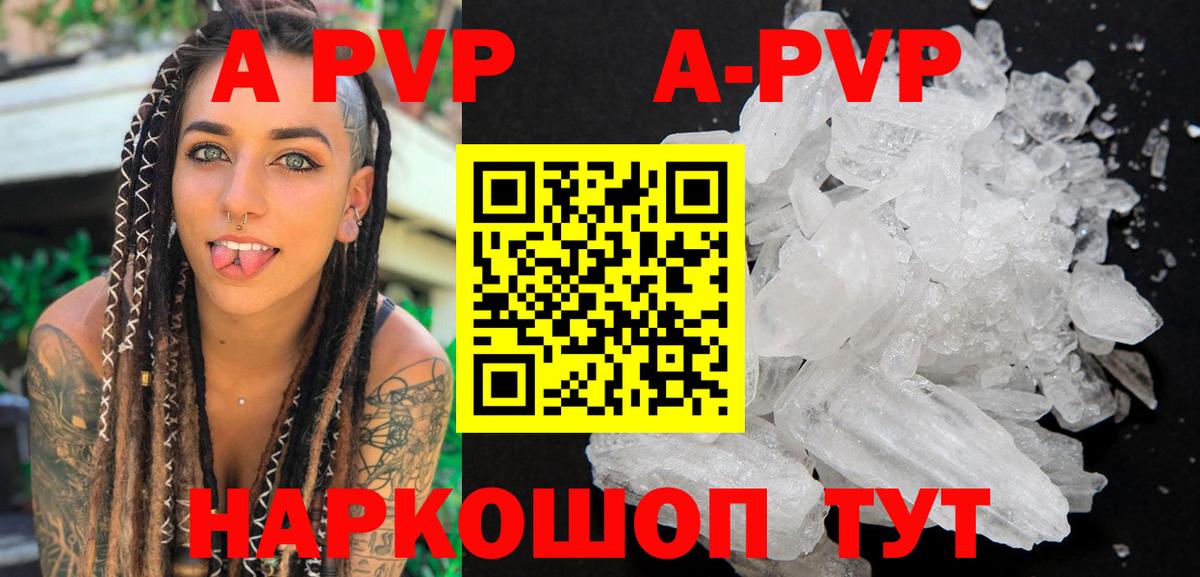 APVP СК Кингисепп