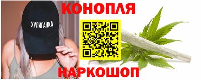 спиды Бийск