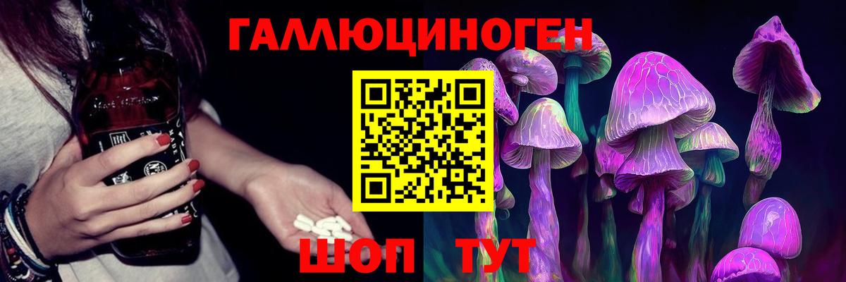 Псилоцибиновые грибы Psilocybe Кингисепп